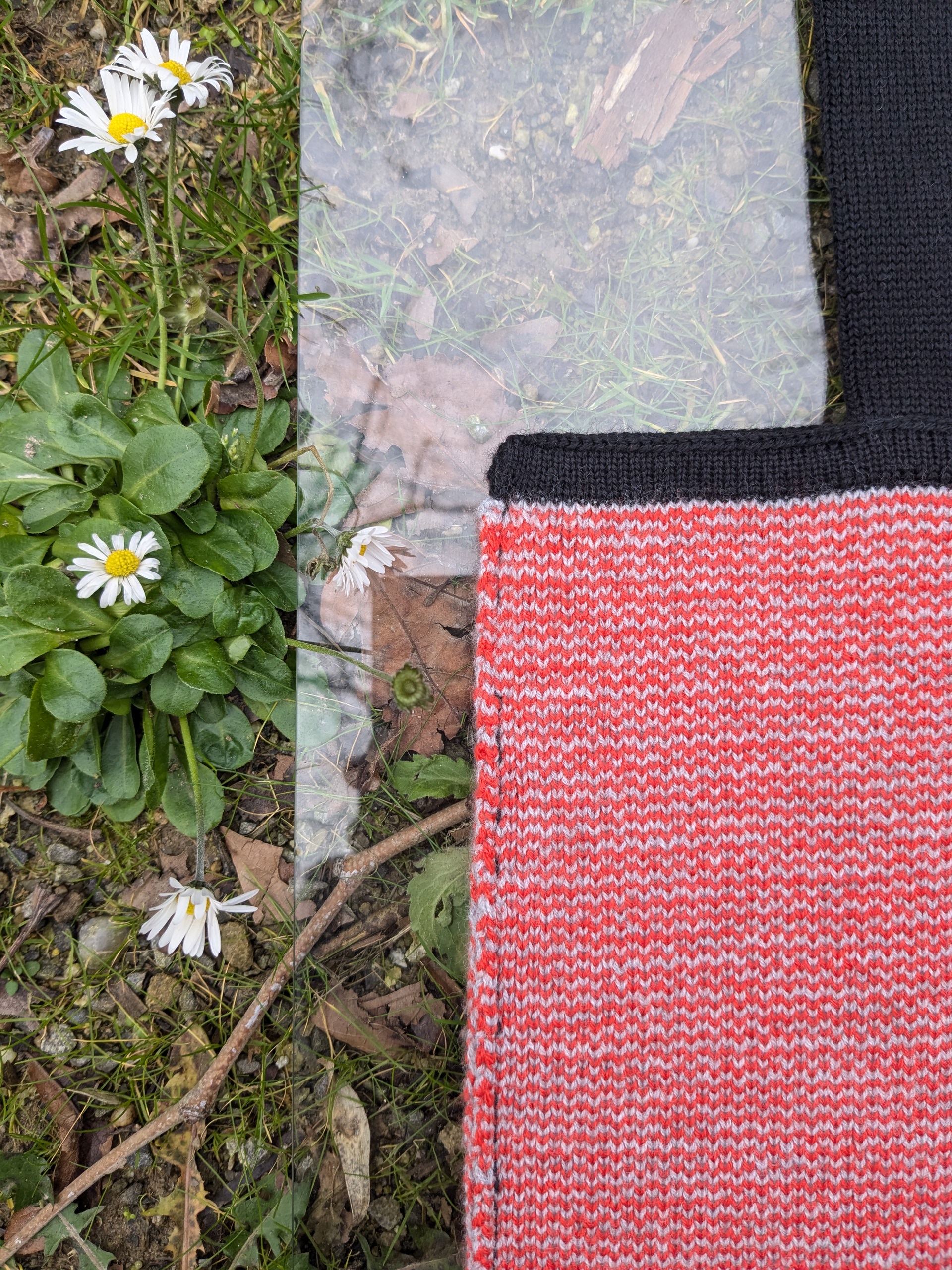 Top 'RIPPEL' g-o – Bild 4